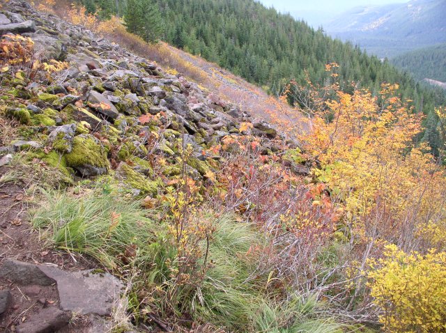 Tom Dick and Harry Peak 019 